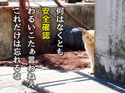 卒検の格言
